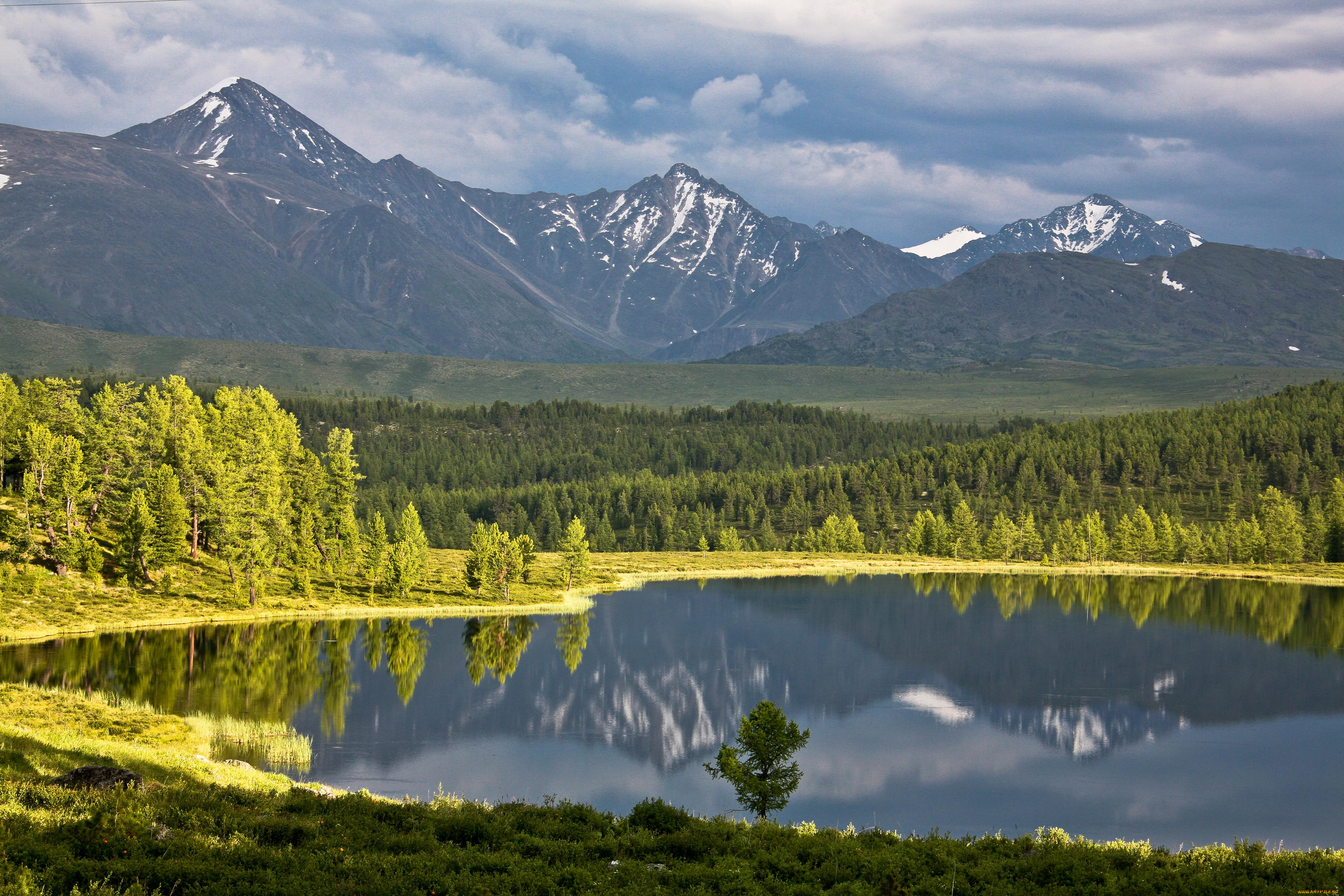 Республика Алтай и Алтайский край природа